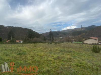 photo For sale Land SAINT-MAURICE-DE-LIGNON 43