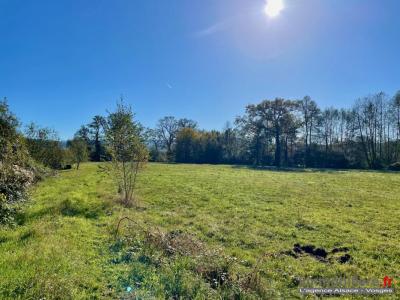 Vente Terrain SAINTE-MARGUERITE 88100