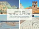 Annonce Vente Terrain Palme