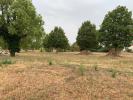 Annonce Vente Terrain Loriol-sur-drome