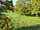 Acheter Terrain Saint-medard-en-forez 134500 euros