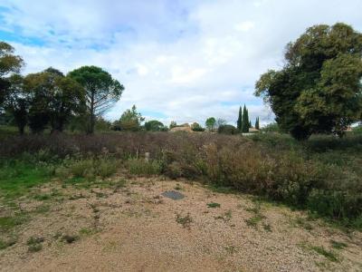 For sale Land MUY  83