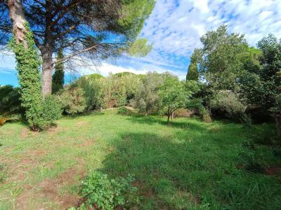 For sale Land MUY  83