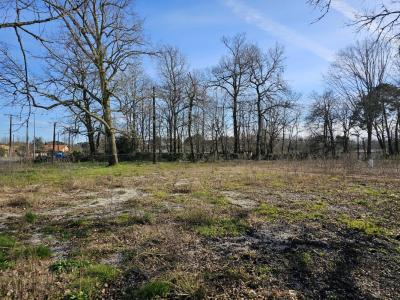 Vente Terrain SAINT-AUBIN-DE-MEDOC 33160