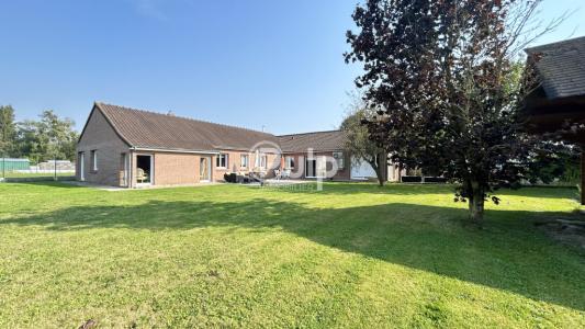 For sale House MERVILLE  59