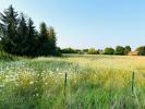 For sale Land Maizieres-la-grande-paroisse  10510