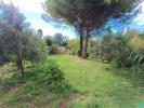 Annonce Vente Terrain Muy