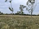 For sale Land Trans-sur-erdre  44440 396 m2