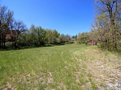 photo For sale Land BRUSQUET 04