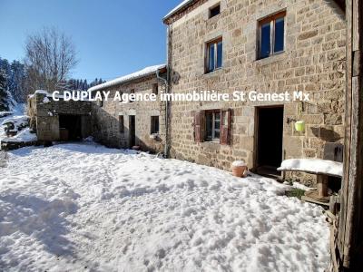 Vente Maison SAINT-REGIS-DU-COIN  42