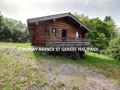 photo For sale House BESSAT 42