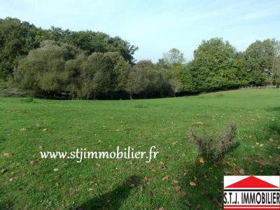 Vente Terrain SAINT-MARTIN-DE-JUSSAC 87200