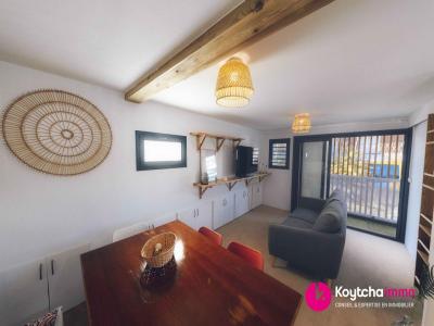 Location Appartement RAVINE-DES-CABRIS  974