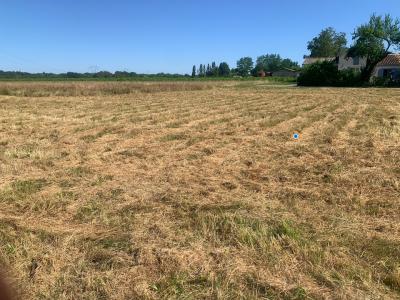 For sale Land LANDE-DE-FRONSAC  33