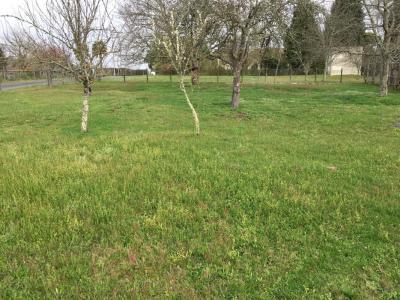 photo For sale Land GAURIAGUET 33