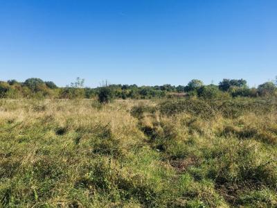 For sale Land BLAYE  33