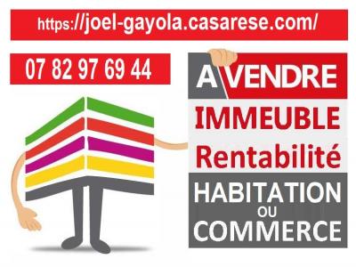 Vente Immeuble CHAINGY  45