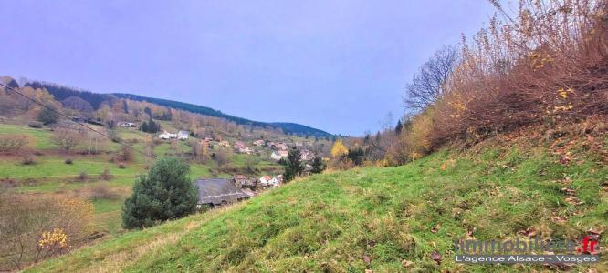 Vente Terrain WILDERSBACH  67