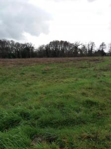 For sale Land PIAN-MEDOC  33