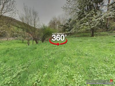 Vente Terrain SAINTE-MARIE-AUX-MINES 68160