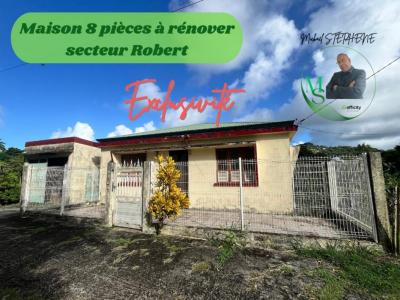 Vente Maison ROBERT  972