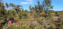 Acheter Terrain Uzes 135000 euros