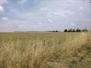 For sale Land Ardillieres  17290 385 m2