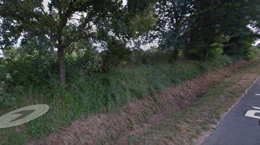 For sale Land DOUZE  24