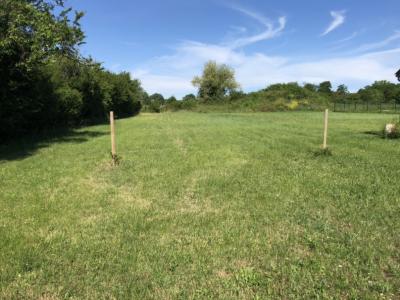 photo For sale Land SAINT-ANDRE-DE-CUBZAC 33