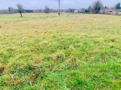 photo For sale Land PEUJARD 33