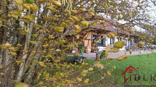 photo For sale House SAVIGNY-EN-REVERMONT 71