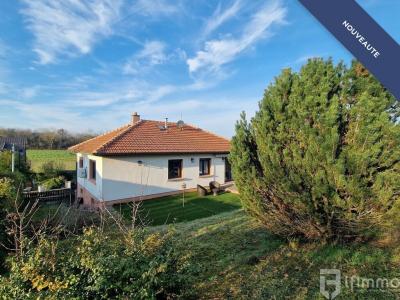 For sale House DIDENHEIM  68