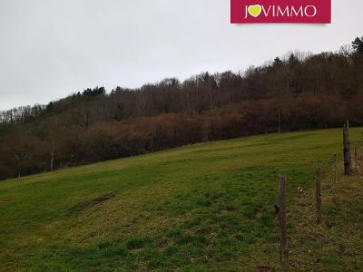 photo For sale Land GELLES 63