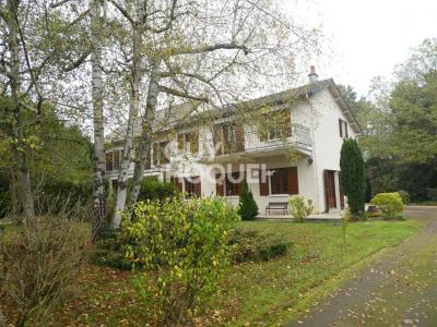 Vente Maison APPOIGNY  89