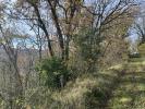 For sale Forested aera Saint-caprais-de-lerm  47270 32767 m2