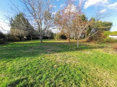 Vente Terrain AVIGNON 84000