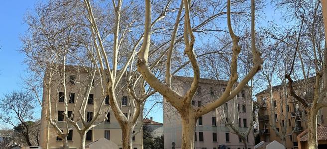 For rent Apartment AVIGNON 