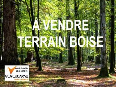 Vente Terrain PEAULE 56130