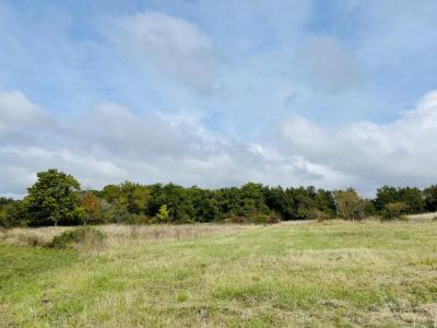 For sale Land SALLEBOEUF  33