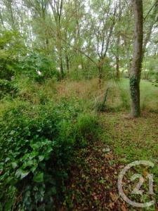 photo For sale Land QUEYRAC 33