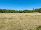 For sale Land Cursan  33670 1000 m2