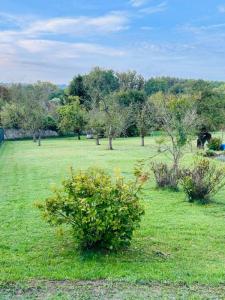 For sale Land SOISSONS  02