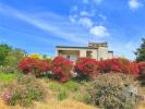 House SAINT-PAUL-TROIS-CHATEAUX 