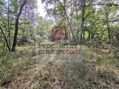 For sale Land TRANS-EN-PROVENCE  83