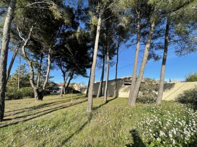 Vente Terrain SAINT-MITRE-LES-REMPARTS 13920