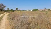 For sale Land Pezenas  34120 9343 m2