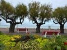 Apartment ARCACHON 