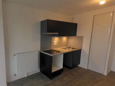 Location Appartement 2 pices CHAINGY 45380