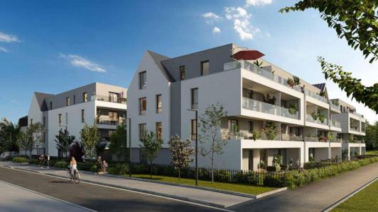 Location Appartement 2 pices HOENHEIM 67800