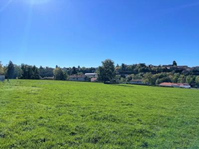 For sale Land PANISSIERES  42